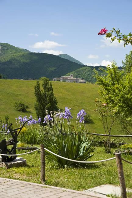 Agriturismo Valle Tezze 카시아 외부 사진